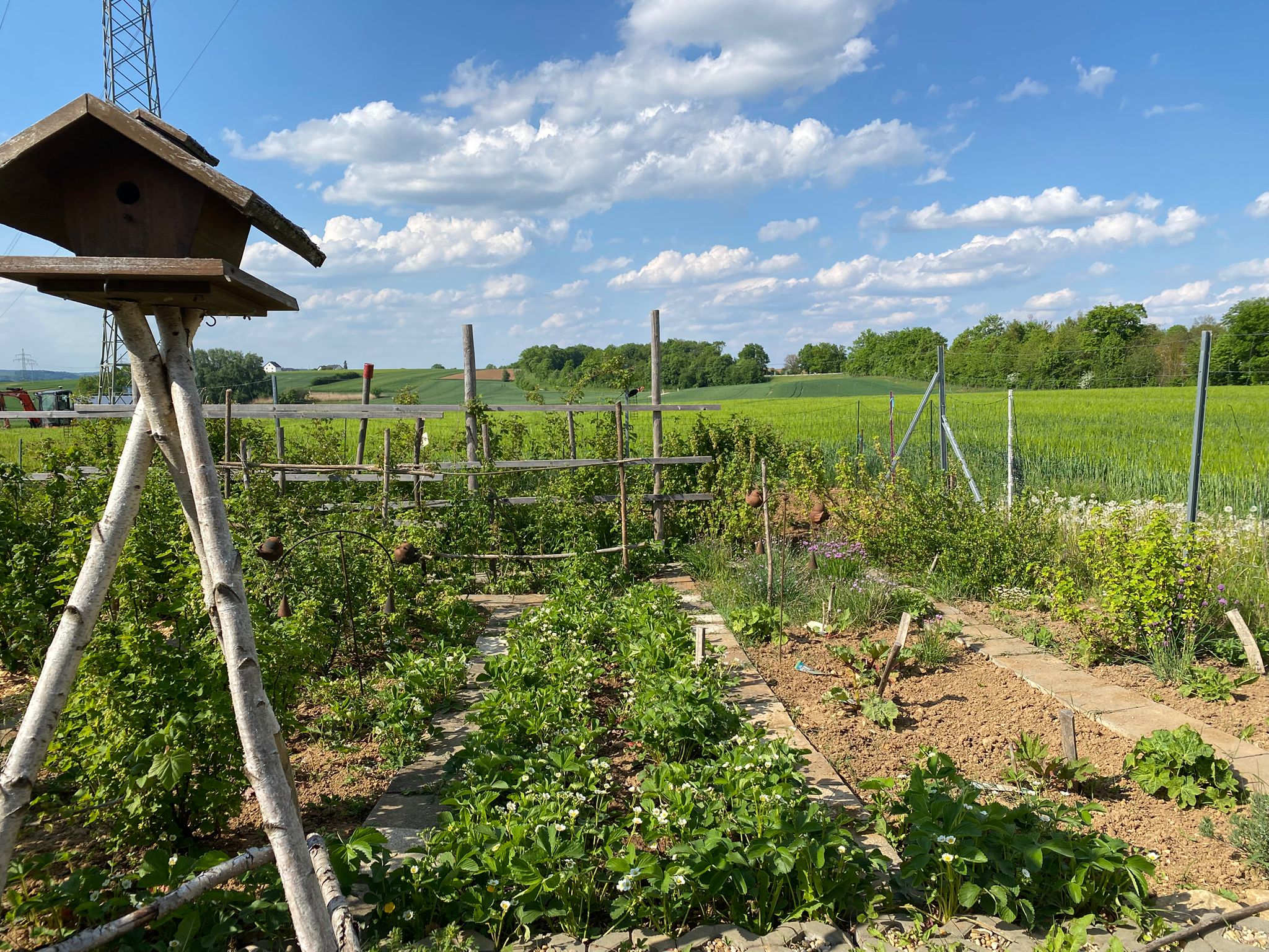 Erdflohgarten